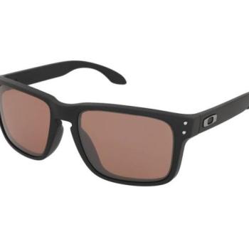 Oakley Holbrook OO9244 924470 kép