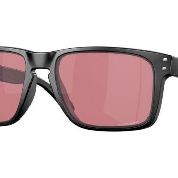 Oakley Holbrook XL OO9417-35 PRIZM Dark Golf ONE SIZE (59) Fekete Női Napszemüvegek kép