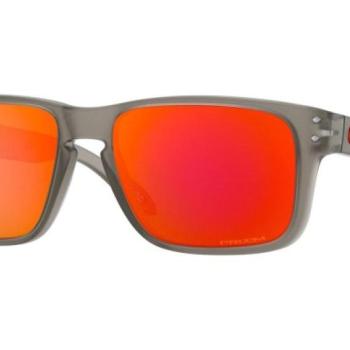 Oakley Holbrook XS OJ9007-03 PRIZM ONE SIZE (53) Szürke Gyermek Napszemüvegek kép