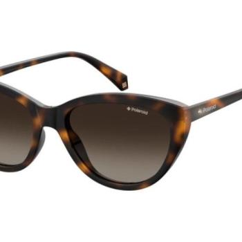 Polaroid PLD4080/S 086/LA Polarized ONE SIZE (55) Havana Férfi Napszemüvegek kép