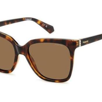 Polaroid PLD4155/S/X 086/SP Polarized ONE SIZE (55) Havana Férfi Napszemüvegek kép