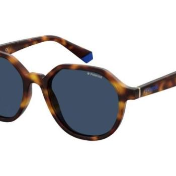 Polaroid PLD6111/S IPR/C3 Polarized ONE SIZE (51) Havana Unisex Napszemüvegek kép