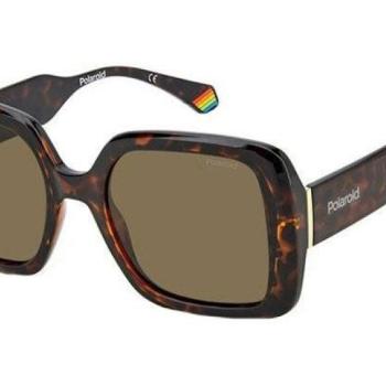 Polaroid PLD6168/S 086/SP Polarized ONE SIZE (54) Havana Férfi Napszemüvegek kép