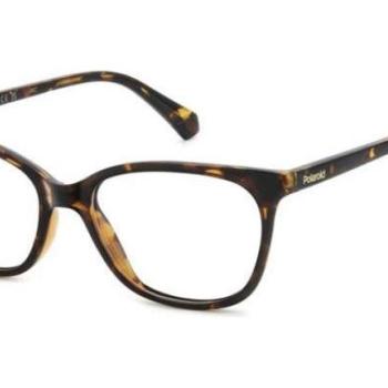 Polaroid PLDD560 086 ONE SIZE (53) Havana Férfi Dioptriás szemüvegek kép