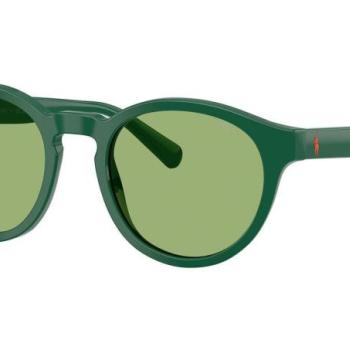 Polo Ralph Lauren PH4192 6141/2 ONE SIZE (51) Zöld Női Napszemüvegek kép