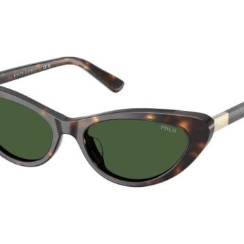 Polo Ralph Lauren PH4199U 500371 ONE SIZE (54) Havana Férfi Napszemüvegek kép