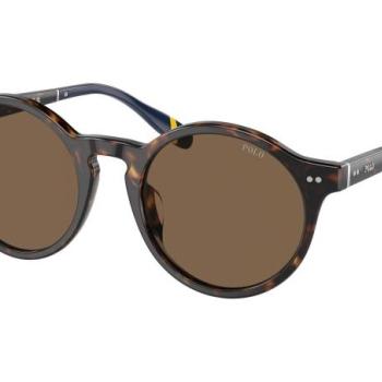 Polo Ralph Lauren PH4204U 500373 L (53) Havana Női Napszemüvegek kép