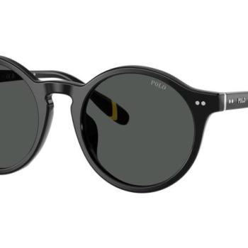 Polo Ralph Lauren PH4204U 538587 M (50) Fekete Női Napszemüvegek kép