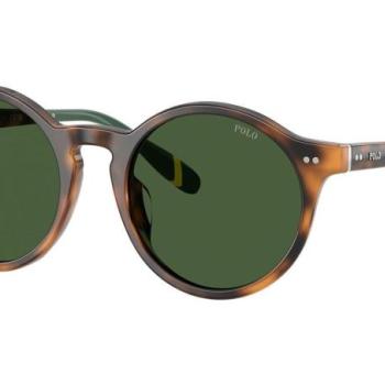 Polo Ralph Lauren PH4204U 608971 M (50) Havana Női Napszemüvegek kép