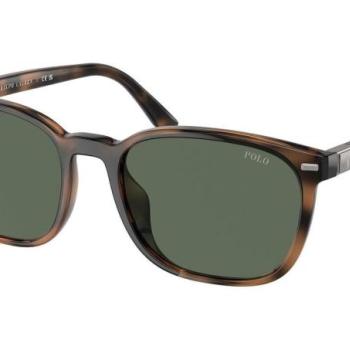 Polo Ralph Lauren PH4208U 597471 ONE SIZE (55) Havana Női Napszemüvegek kép