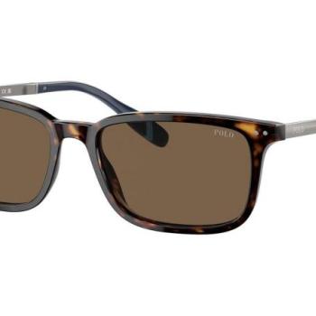 Polo Ralph Lauren PH4212 500373 L (57) Havana Női Napszemüvegek kép