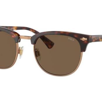 Polo Ralph Lauren PH4217 613773 ONE SIZE (53) Havana Női Napszemüvegek kép