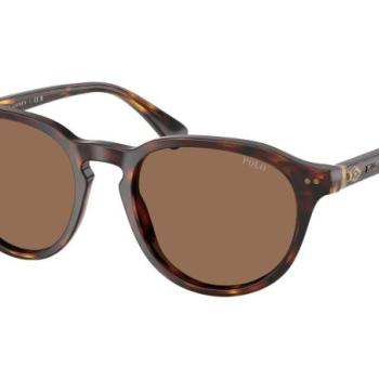 Polo Ralph Lauren PH4221 613773 ONE SIZE (52) Havana Női Napszemüvegek kép