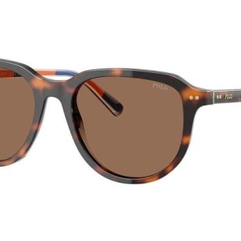 Polo Ralph Lauren PH4225 613773 ONE SIZE (53) Havana Női Napszemüvegek kép