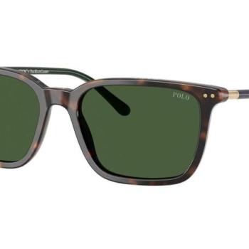 Polo Ralph Lauren PH4226 567371 ONE SIZE (56) Havana Női Napszemüvegek kép