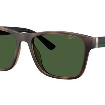 Polo Ralph Lauren PH4229U 607071 ONE SIZE (56) Havana Női Napszemüvegek kép