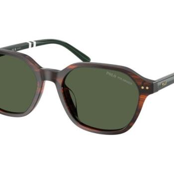 Polo Ralph Lauren PH4234U 63159A Polarized ONE SIZE (54) Havana Női Napszemüvegek kép