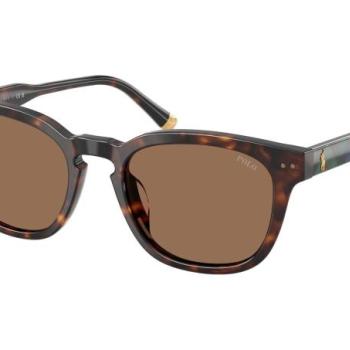 Polo Ralph Lauren PH4242U 562573 ONE SIZE (52) Havana Női Napszemüvegek kép