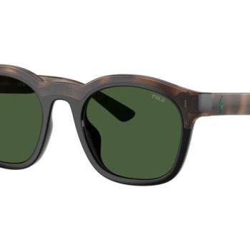 Polo Ralph Lauren PH4243U 607071 ONE SIZE (51) Havana Női Napszemüvegek kép