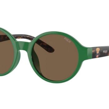 Polo Ralph Lauren PP9508U 619273 ONE SIZE (44) Zöld Gyermek Napszemüvegek kép
