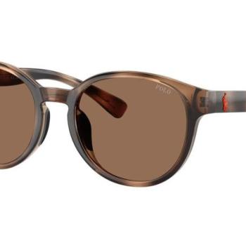 Polo Ralph Lauren PP9509U 597473 ONE SIZE (48) Havana Gyermek Napszemüvegek kép