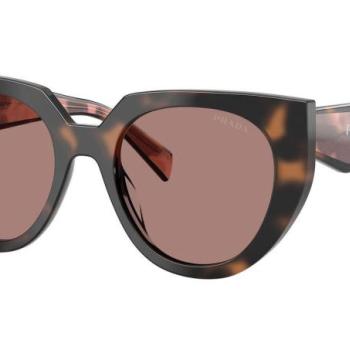 Prada PR14WS 23A60B ONE SIZE (52) Havana Férfi Napszemüvegek kép