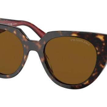 Prada PR14WS 2AU5Y1 Polarized ONE SIZE (52) Havana Férfi Napszemüvegek kép