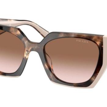 Prada PR15WS 01R0A6 ONE SIZE (54) Havana Férfi Napszemüvegek kép