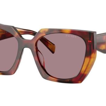 Prada PR15WS 22A20I ONE SIZE (54) Havana Férfi Napszemüvegek kép