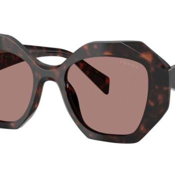 Prada PR16WS 17N60B ONE SIZE (53) Havana Férfi Napszemüvegek kép