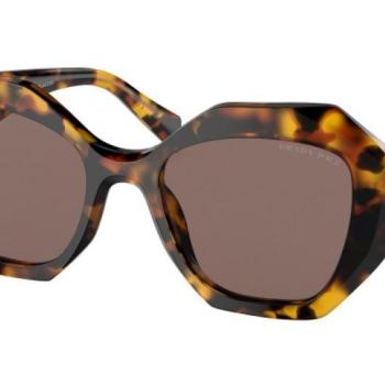 Prada PR16WS VAU05C Polarized ONE SIZE (53) Havana Férfi Napszemüvegek kép