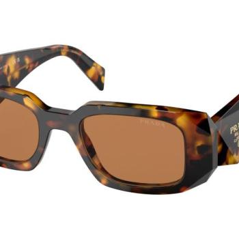 Prada PR17WS VAU2Z1 ONE SIZE (49) Havana Unisex Napszemüvegek kép