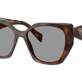 Prada PR19ZS 20D50Q ONE SIZE (55) Havana Férfi Napszemüvegek kép