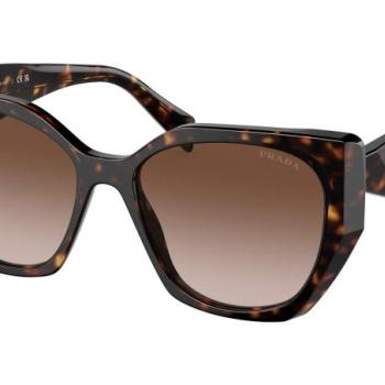 Prada PR19ZS 2AU6S1 ONE SIZE (55) Havana Férfi Napszemüvegek kép