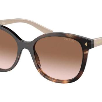 Prada PR22ZS 07R0A6 ONE SIZE (53) Havana Férfi Napszemüvegek kép