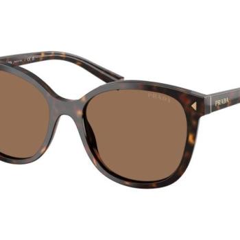 Prada PR22ZS 17N06B ONE SIZE (53) Havana Férfi Napszemüvegek kép