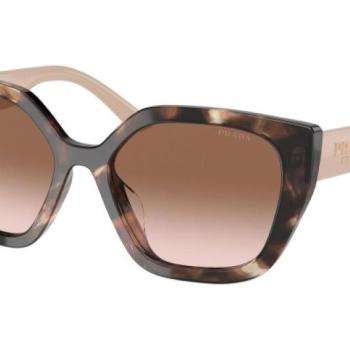 Prada PR24XS 07R0A6 ONE SIZE (52) Havana Férfi Napszemüvegek kép