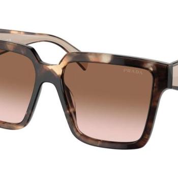 Prada PR24ZS 07R0A6 ONE SIZE (56) Havana Férfi Napszemüvegek kép
