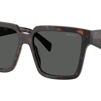 Prada PR24ZS 17N40L ONE SIZE (56) Több színű Férfi Napszemüvegek kép