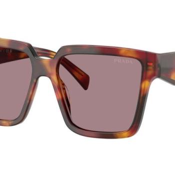 Prada PR24ZS 22A20I ONE SIZE (56) Havana Férfi Napszemüvegek kép