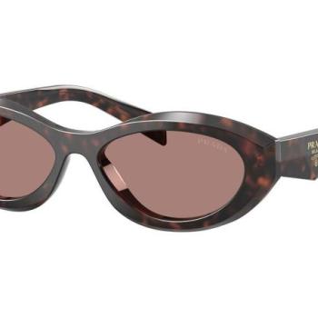 Prada PR26ZS 17N60B ONE SIZE (55) Havana Férfi Napszemüvegek kép