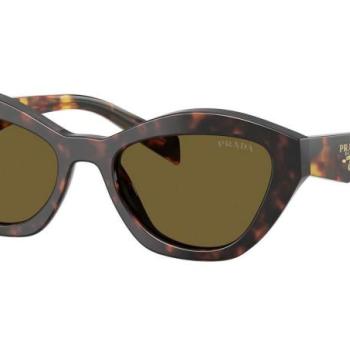 Prada PRA02S 17N09Z ONE SIZE (52) Havana Férfi Napszemüvegek kép
