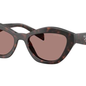 Prada PRA02S 17N60B ONE SIZE (52) Havana Férfi Napszemüvegek kép