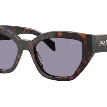 Prada PRA09S 17N03N ONE SIZE (53) Havana Férfi Napszemüvegek kép