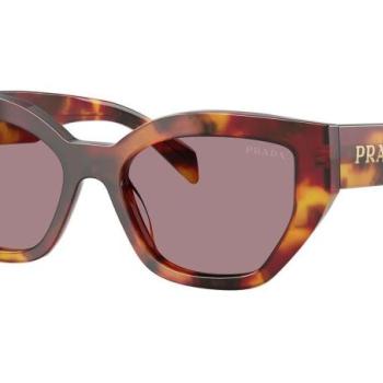 Prada PRA09S 22A20I ONE SIZE (53) Havana Férfi Napszemüvegek kép