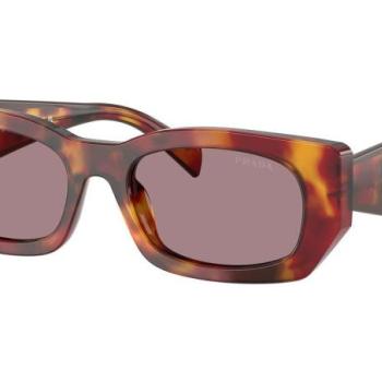 Prada PRB05S 22A20I ONE SIZE (53) Havana Férfi Napszemüvegek kép