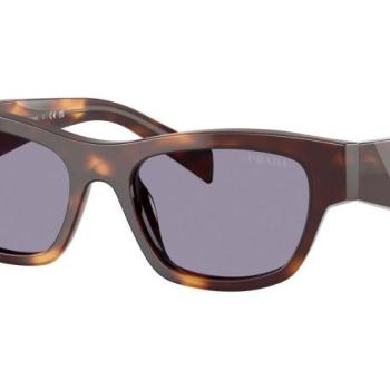 Prada PRB09S 15W03N L (54) Havana Férfi Napszemüvegek kép