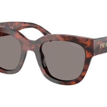 Prada PRC04S 23F80Q ONE SIZE (52) Havana Férfi Napszemüvegek kép