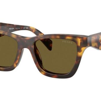 Prada PRC07S 14L09Z ONE SIZE (51) Havana Férfi Napszemüvegek kép