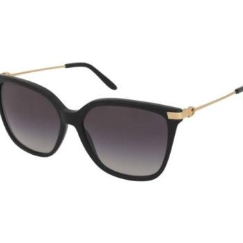 Ralph Lauren RL8209 5001/8G kép